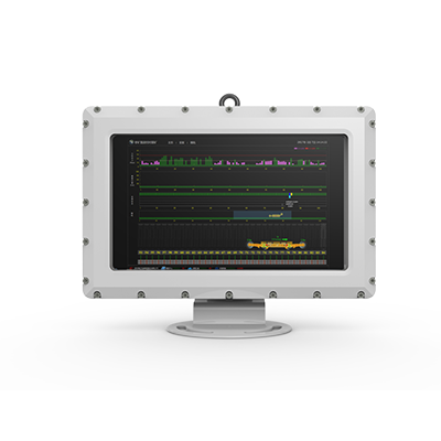 Минеральный взрывозащищенный монитор